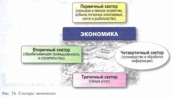 Относится к первичной экономике. Первичный вторичный третичный четвертичный сектора экономики. Первичный и вторичный сектор экономики. Первичный сектор. Третичный сектор сфера услуг.