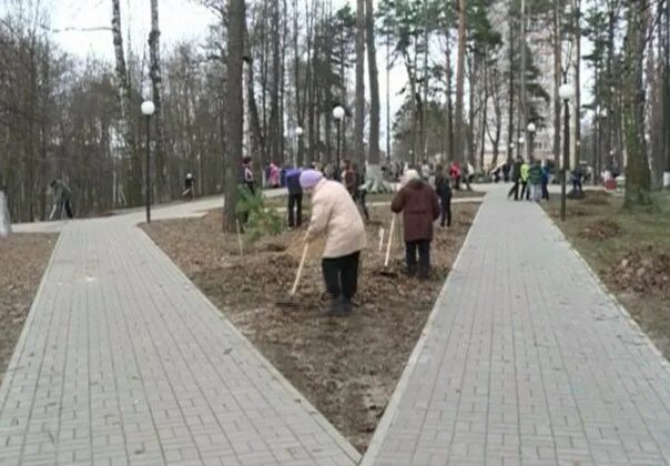 Происшествия Ярославля и Ярославской области - последние новости за 23 марта 202