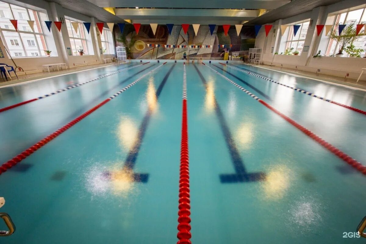 бассейн динамо екатеринбург. спартак киров бассейн. ниижт бассейн новосибирск. большой бассейн 25 метров. бассейн сочи октябрьский санаторий бассейн.