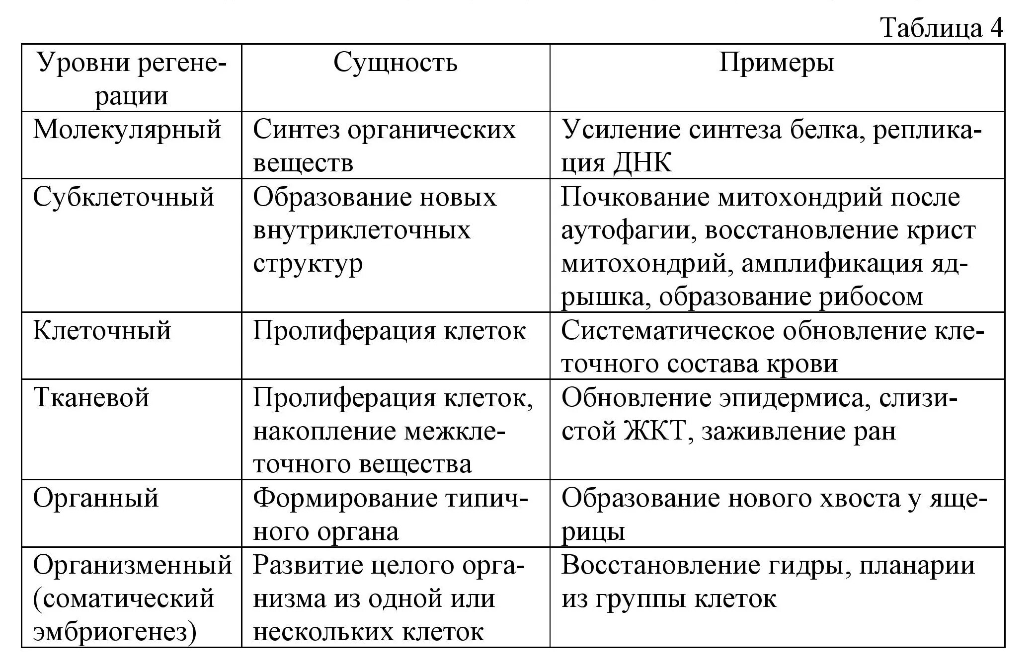 Структурная организация организмов. Типы регенерации таблица. Структурные уровни репаративной регенерации. Уровни организации живых организмов таблица. Процесс регенерации на различных уровнях организации..