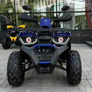 Avantis 200 big lux