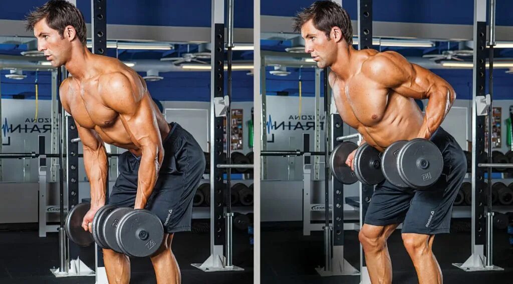 Panatta трицепс. Новая версия дельты. Шраги в тренажере. Жим гантелей на дельты. Новая версия дельты.