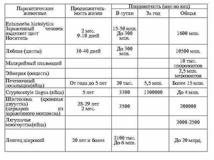 Плодовитость фертильность