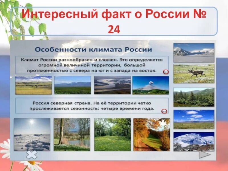 Интересные даты России. Интересные факты о России. Интересные и необычные факты про Россию. Интересные факты о России для детей. Факты россии 4 класс