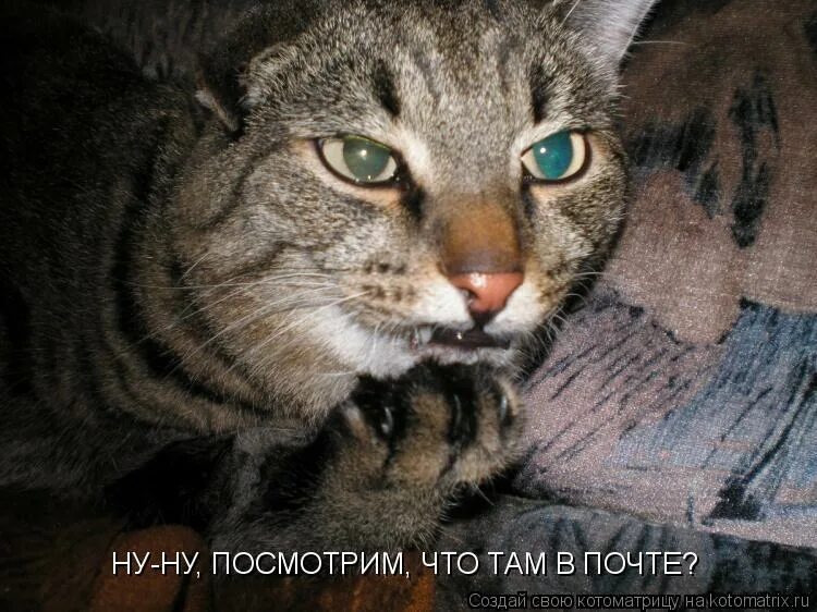 моя месть будет. ну если что пиши. ты это пиши если че. мемы что дальше. главный герой типичный я.