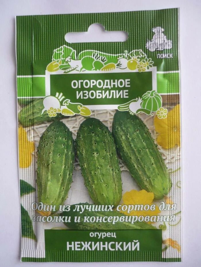 Огородное изобилие. Сорт огурцов Нежинский. Сорт Нежинский огурец. Огурцы для засолки сорта. Огурцы для открытого грунта.