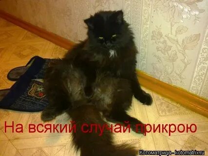 На всякий случай спрашиваю