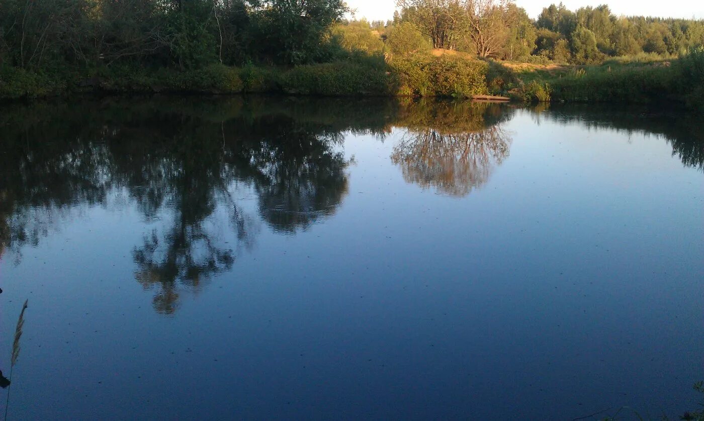 Водоемы области. Рудаково Тула пруд. Жировский пруд Тульская область. Грицово Тульская пруд. Река Кочаки Тула.