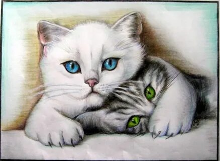 Как нарисовать 2 котенка