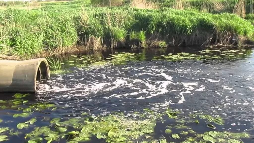 Грязная вода видео. Загрязнение реки Сура Пенза. Загрязнённая река завод в Оренбургской области. Река Сейм загрязнение. Загрязнение водоемов.