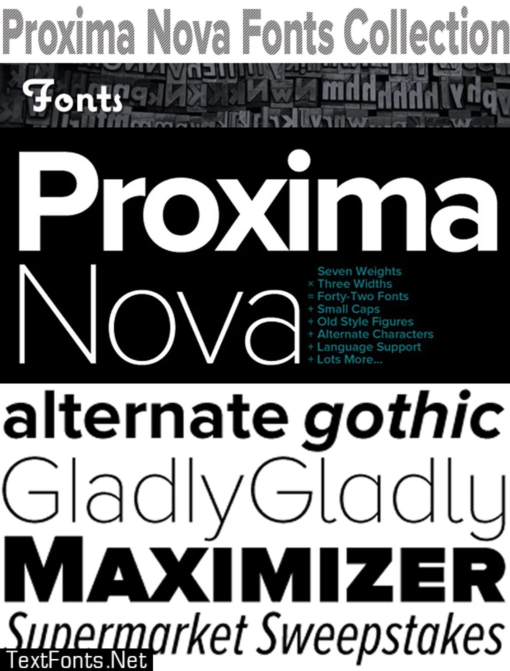 Proxima nova font. Шрифт proxima. proxima nova. proxima nova extrabold.