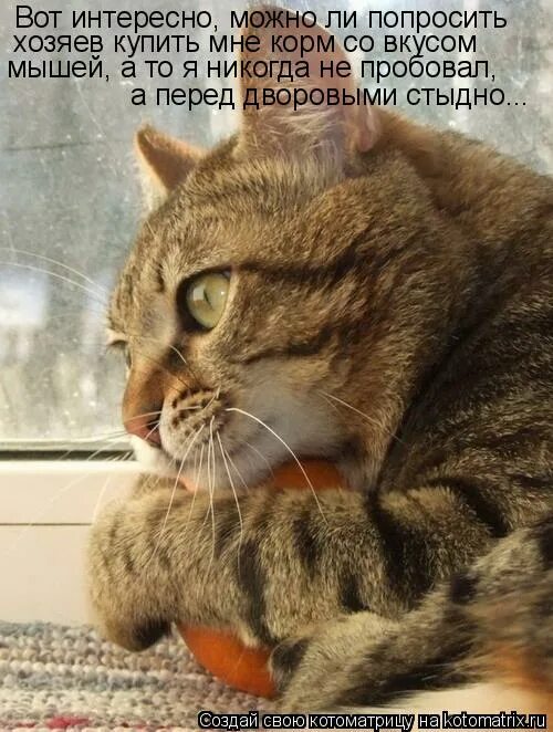 Фф хозяин. Прошу хозяин мне больно. Хозяин прошу хватит мне больно 2. Прошу хозяин мне больно. Прошу хозяин мне больно.