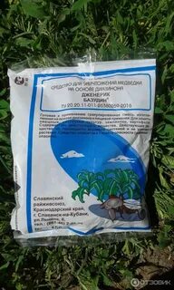 Базудин