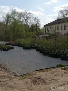 Садовый питомник есичевых 6 село муромцево