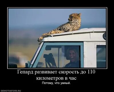 110 километров в час