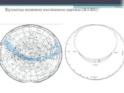 Сексуалды жамбастардың фотосы