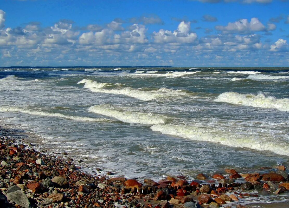 Балтийский берег морская