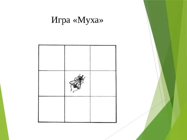 Игра муха для кошек на экране телефона. Игра Муха. Математическая игра Муха. Игра про муху. Игра Муха для младших школьников.