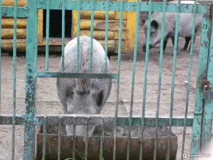 Уфа хозяйство