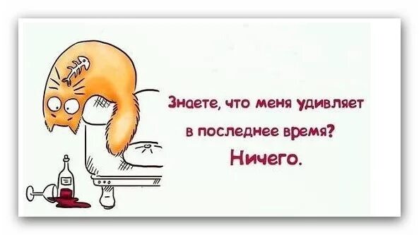 Ничем не удивишь