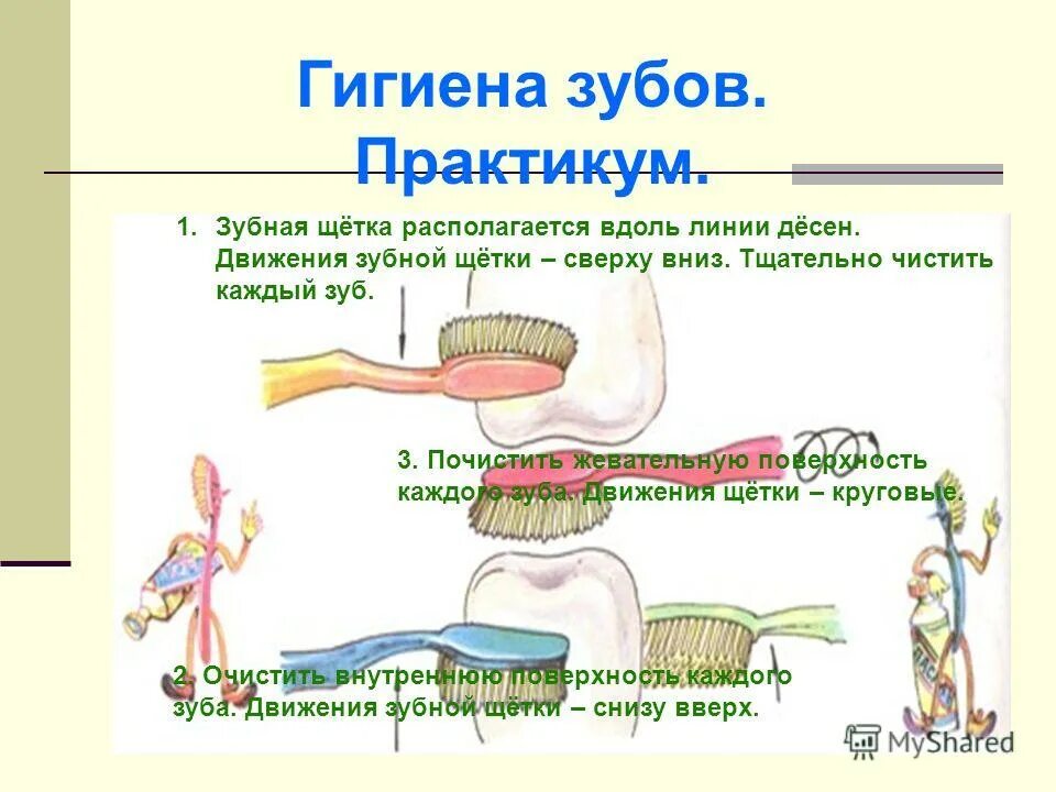Показать стрелками как следует двигать зубной щеткой. Движения зубной щетки. покажи стрелками движения зубной щетки. покажи стрелками движения зубной щетки при чистке.