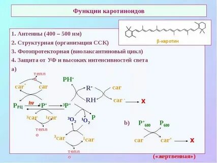 Выделение каротиноидов метод