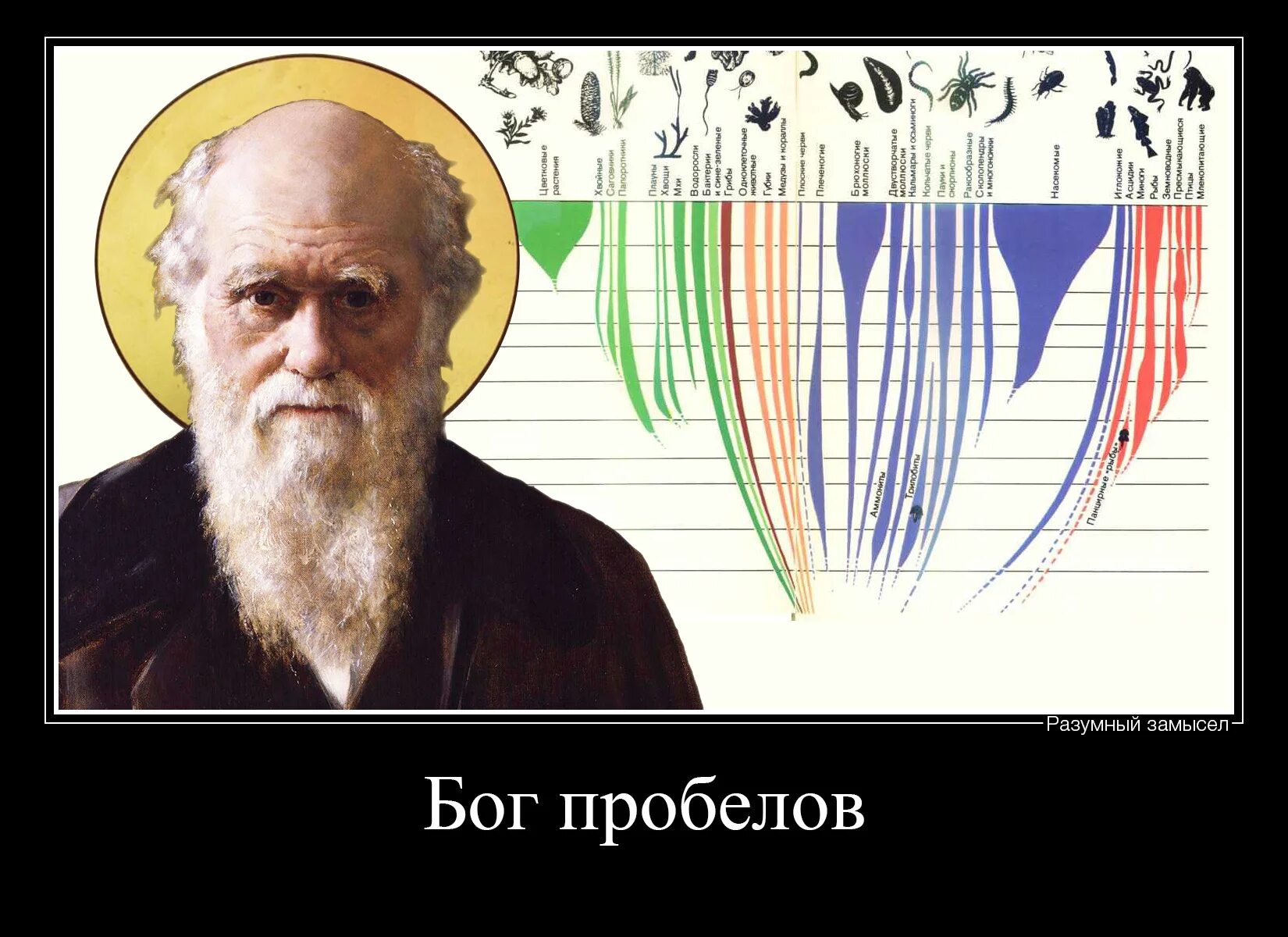 фамилия разумный