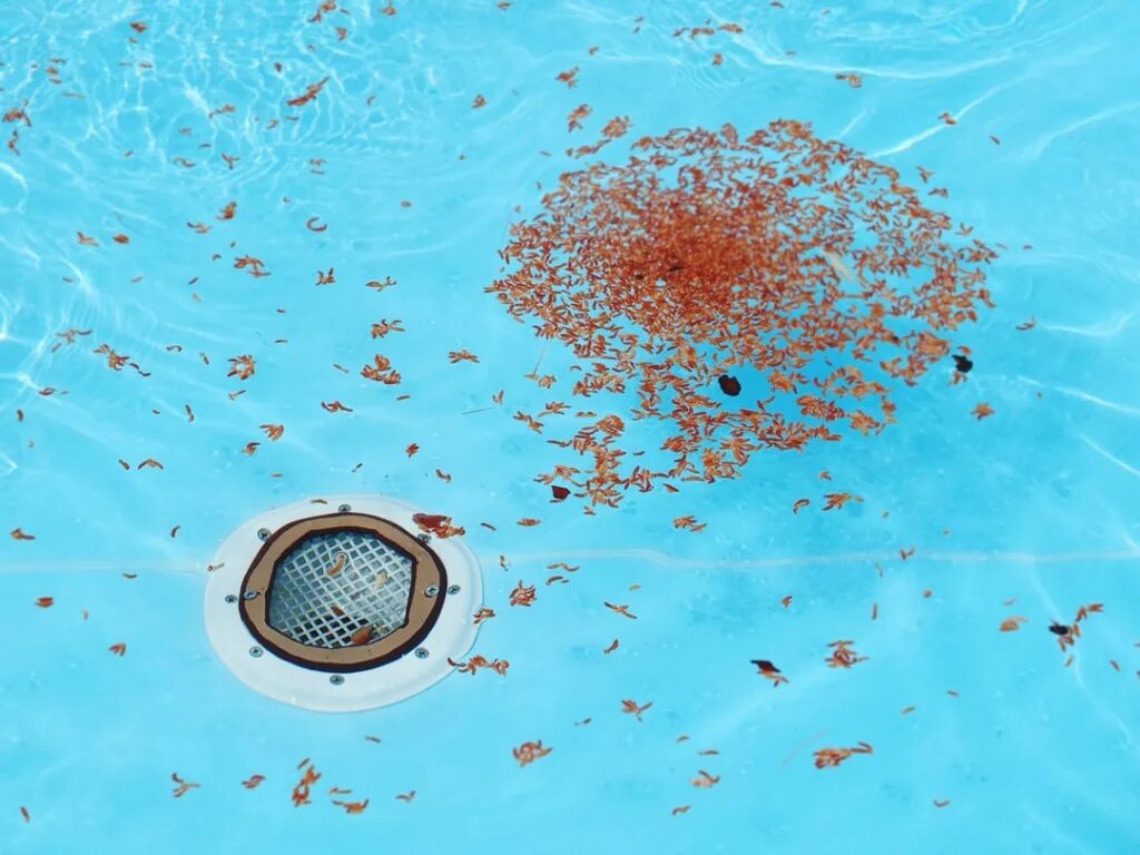Dirty pool