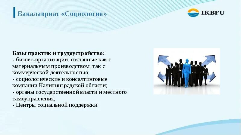 Институт социальных программ