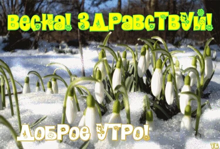 С первым мартовским утром. С первым днем весны. Доброе утро с первым днем весны. Доброго весеннего дня.