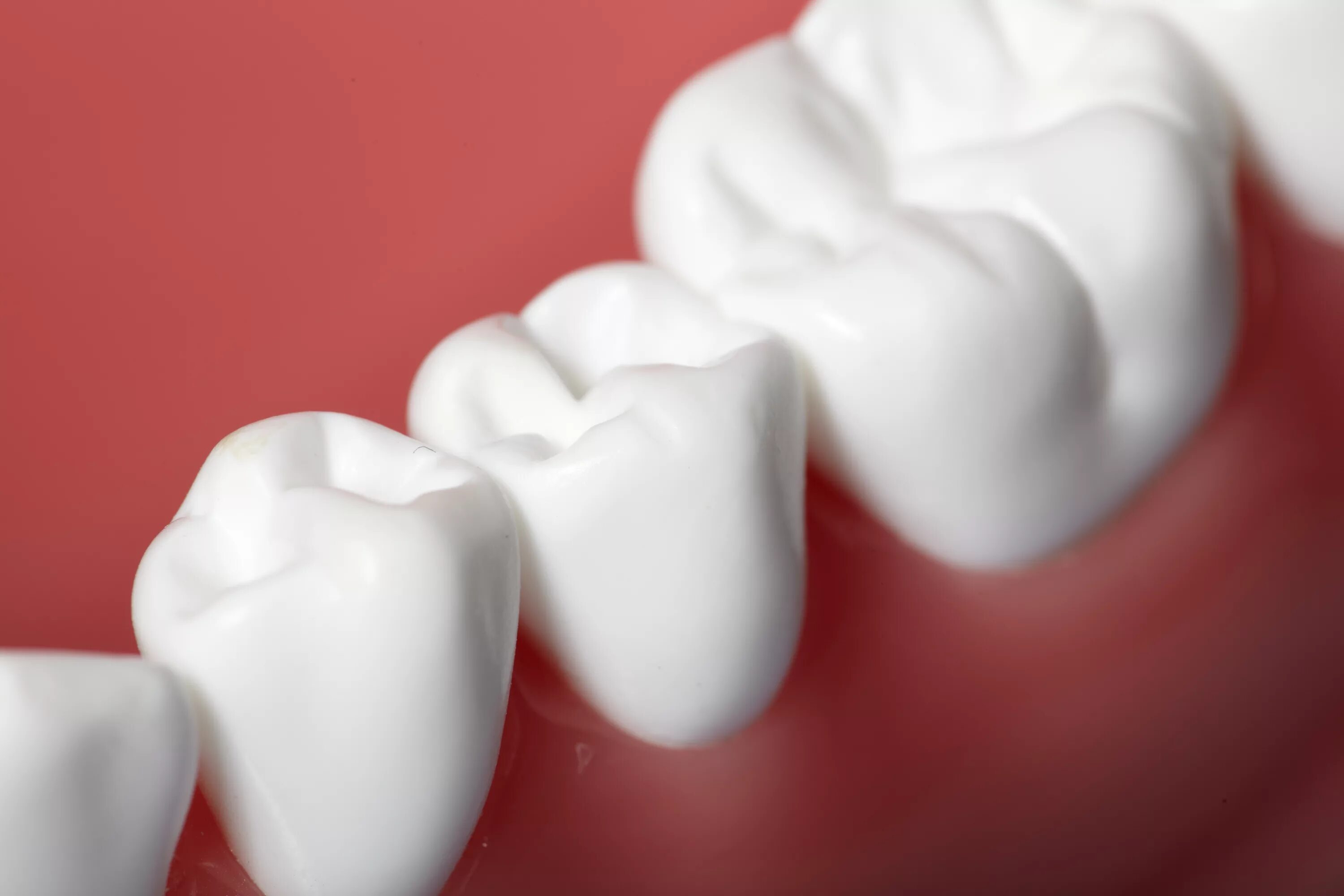 белая кость белые зубы. круглая форма зубов. зуб на белом фоне. тест на белые зубы. белая кость белые зубы.