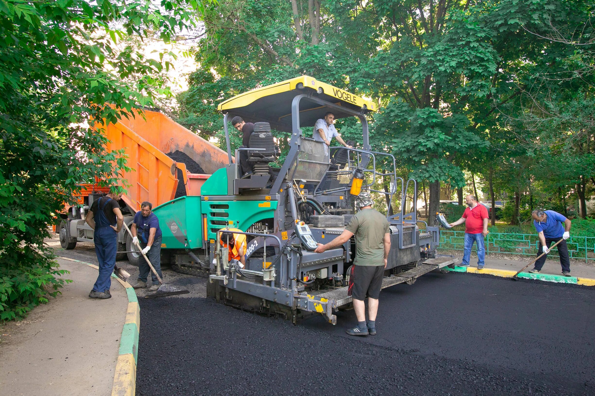 директор лесопарка лыткарино. дерево в лыткарино. южно лыткарино. лыткарино благоустройство звезда. лыткарино тв.