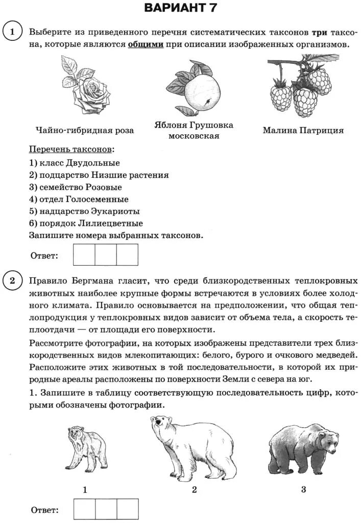 Демоверсия впр биология 11 класс 2024 год. ВПР биология 11 класс ВПР. ВПР по биологии 11 класс 2020. ВПР по биологии 11 класс 2023. Биология 11 класс задания.