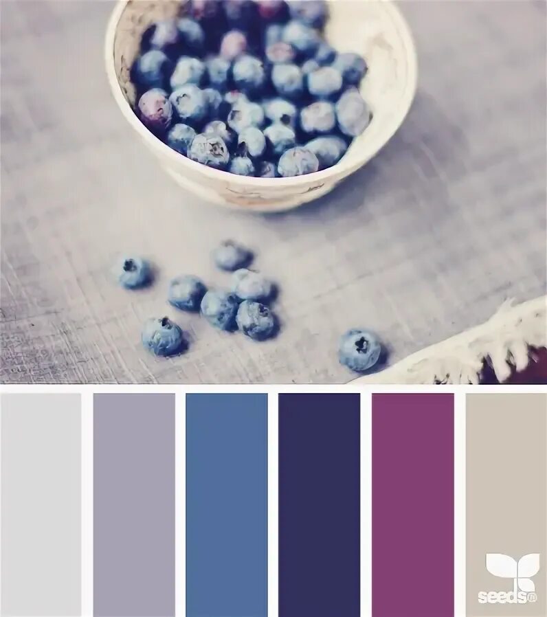 Черничный цвет в одежде сочетание с другими Pin on 50. P A L E T T E Nature color palette, Seeds color, Seeds color palette