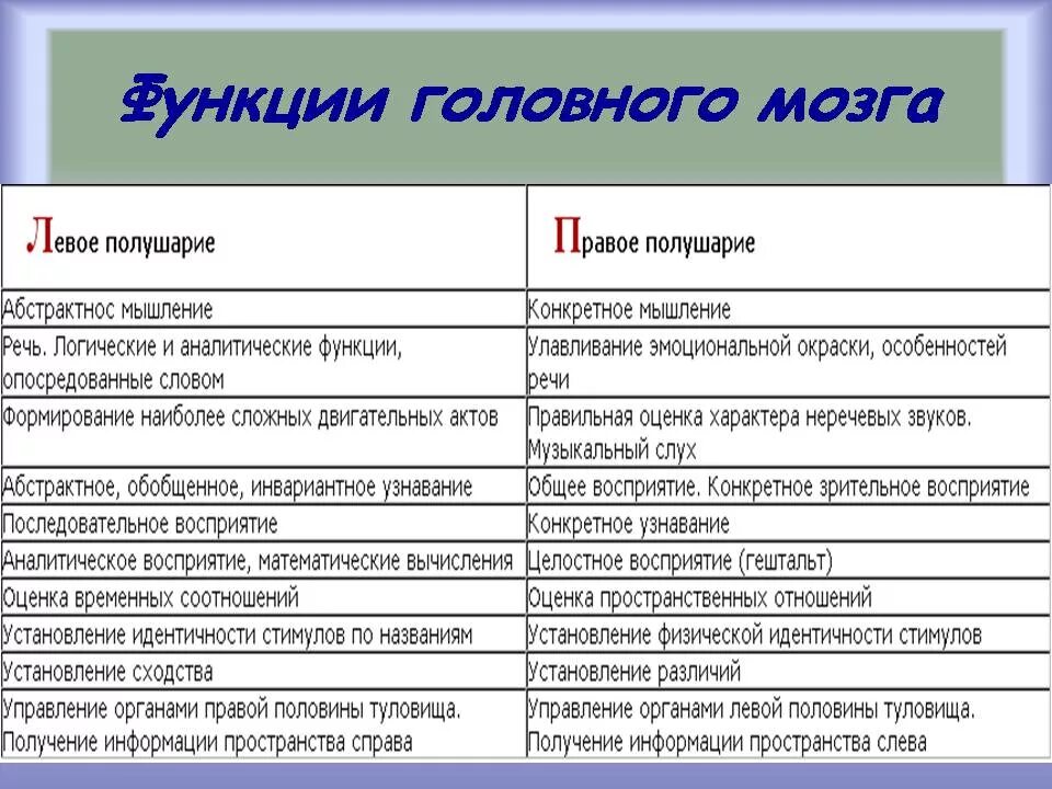 Большие полушария функции таблица. Таблица отделы головного мозга и их функции и строение. Функции основных отделов головного мозга. Отделы головного мозга структура и функции таблица. Строение и функции отделов головного мозга.