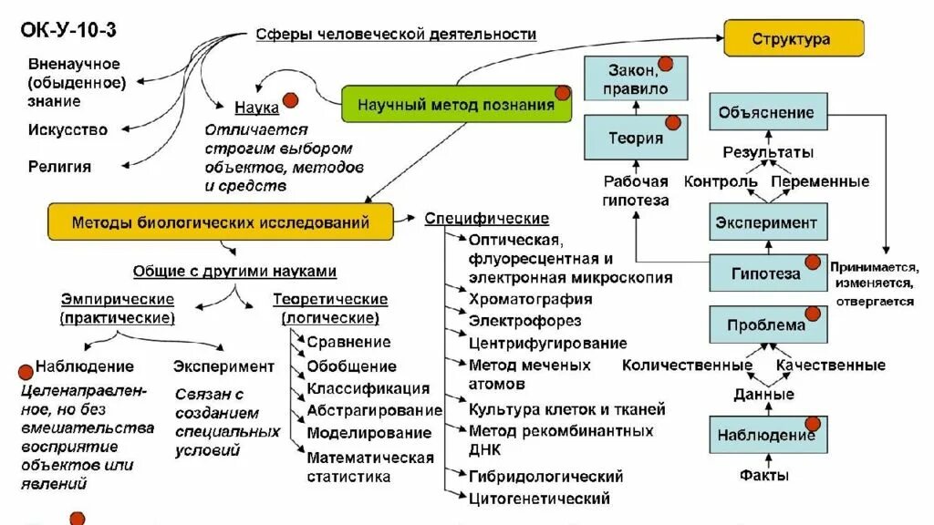 Биологические исследования таблица. Методы биологических исследований егэ биология. методы научного познания таблица биология 10 класс. методы научного познания в биологии таблица. методы научного познания биология егэ.