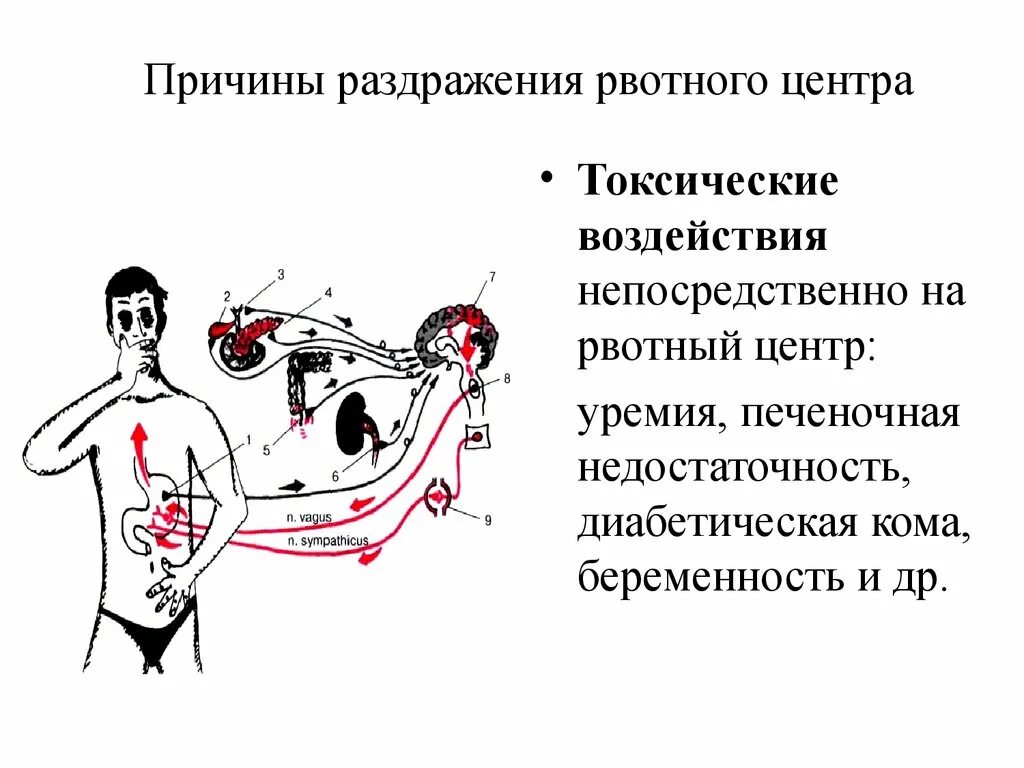 Сильный рвотный рефлекс. Точки от рвотного рефлекса. Точка на теле от рвотного рефлекса. Раздражительность причины.