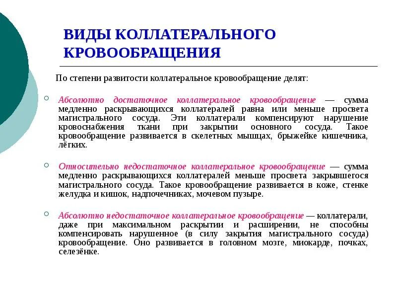 Тип кровообращения это. Виды коллатерального кровообращения. коллатеральное кровообращение. способы улучшения коллатерального кровообращения. коллатеральный кровоток.