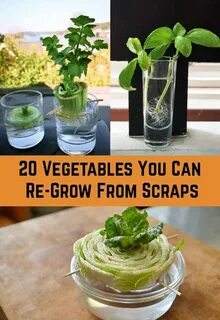 Re grow