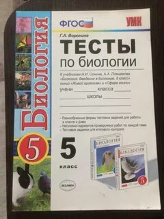 Тесты 5 пономарева