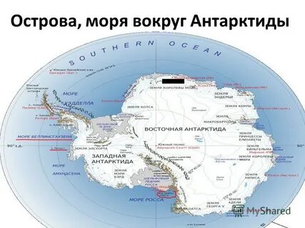 Какие крупные моря омывают антарктиду