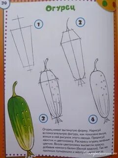 Огурцы пошагово