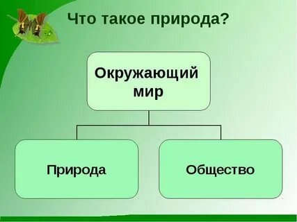 Человек и природа обществознание конспект