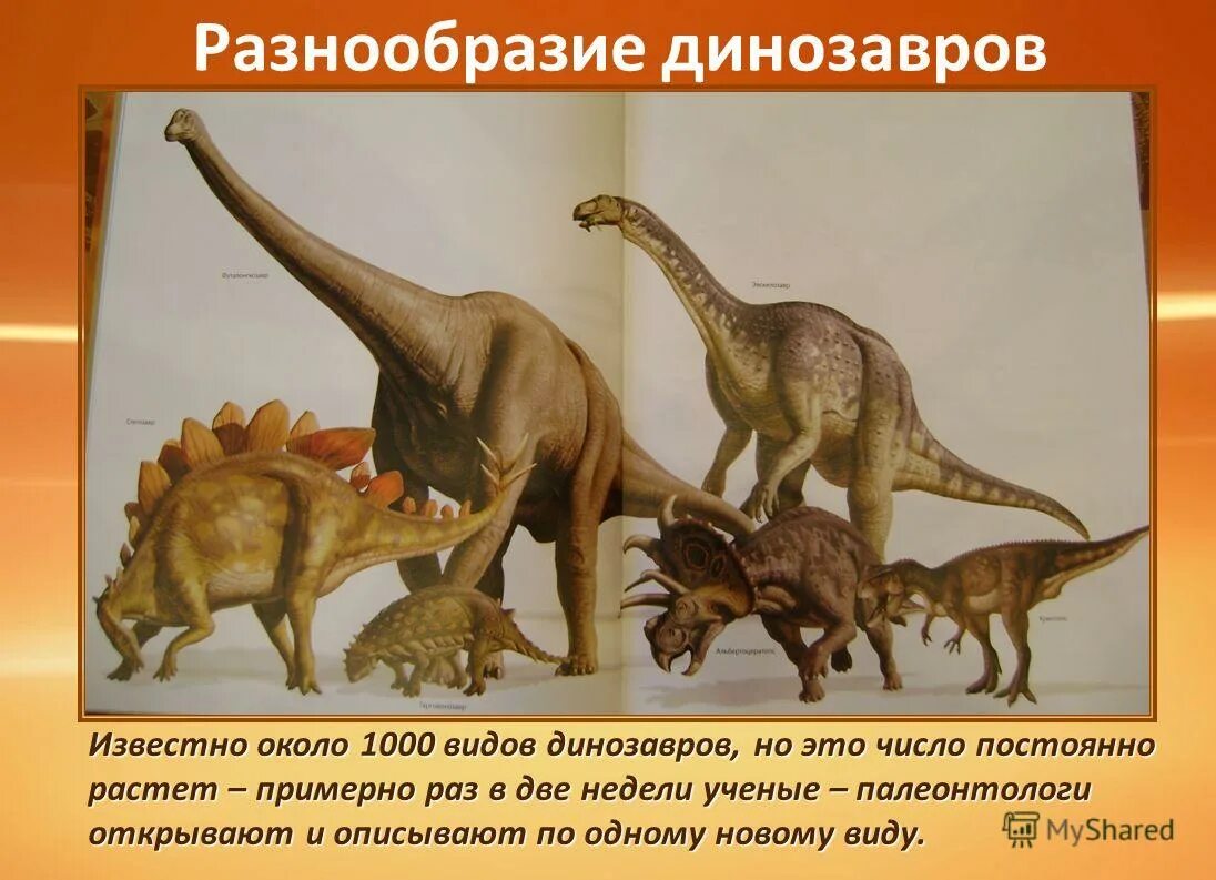 Скелет древнего животного. Известно что динозавры были наиболее прогрессивной. Известно что динозавры были наиболее прогрессивной. Известно что динозавры были наиболее прогрессивной. Майазавр.