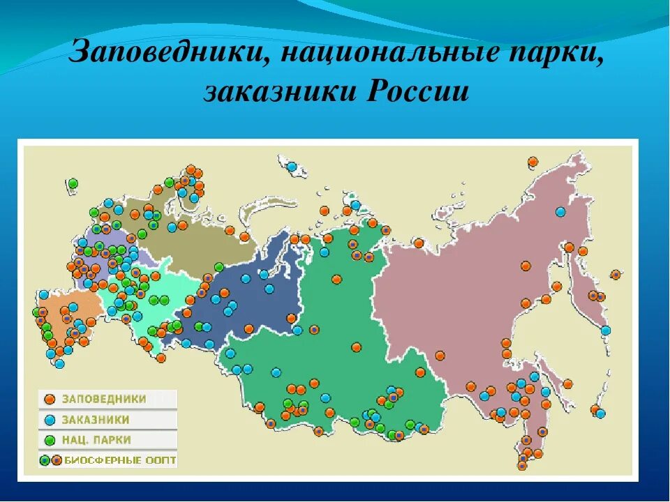 Карта России заповедники и национальные парки России. Заповедники заказники национальные парки России. Карта России заповедники и национальные парки 2023. Крупнейшие заповедники и национальные парки России контурная карта.