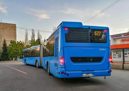 577 автобус расписание