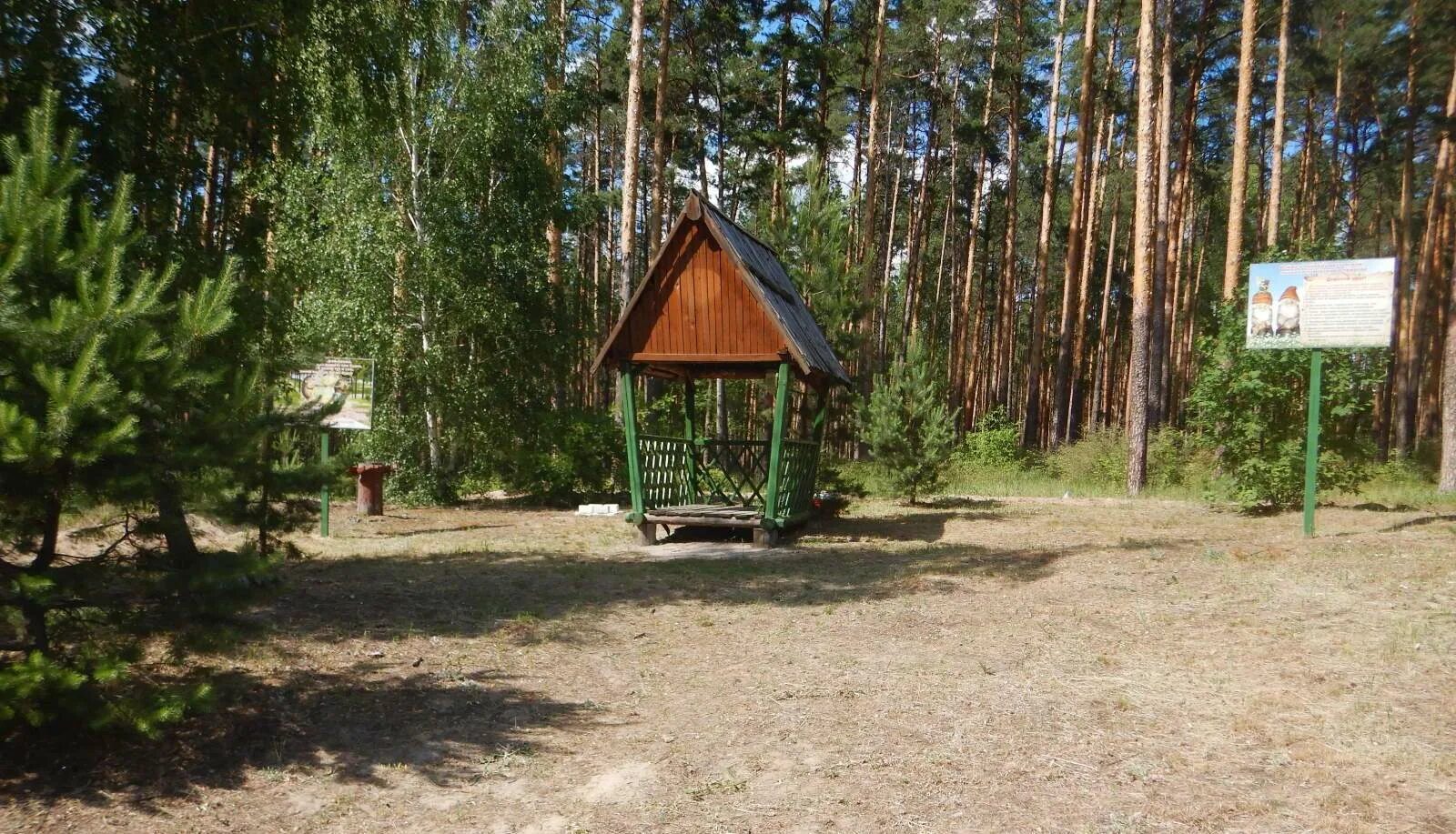 Лесная сказка тамбов пригородный лес. Рбо тамбов пригородный лес. Пригородный тамбов. Тамбовский лесхоз пригородный. Парк отель пригородный лес тамбов.