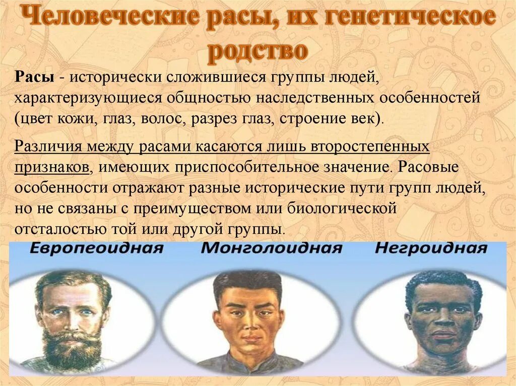 Человеческие расы 6 класс география. Человеческие расы. Основные расы людей. Человеескиерасы. Формирование человеческих рас.