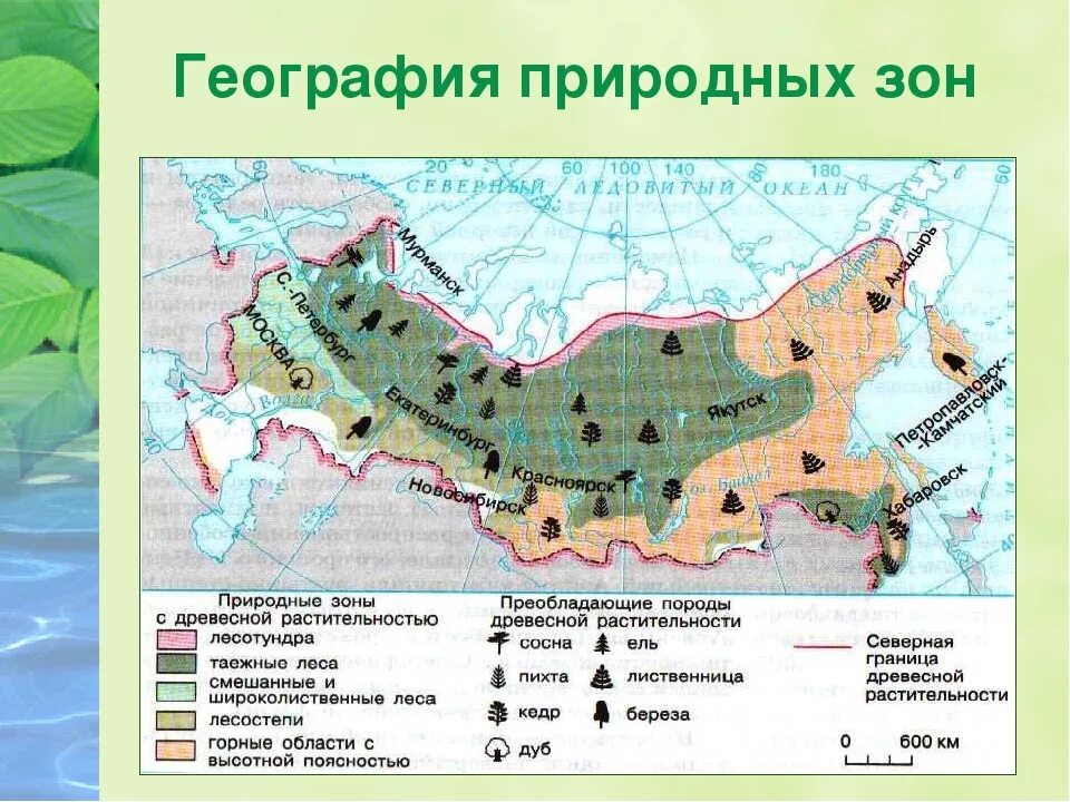 Районы распространения природных зон. Природные зоны. Карта природных зон. Природные зоны России. Карта природных зон России.