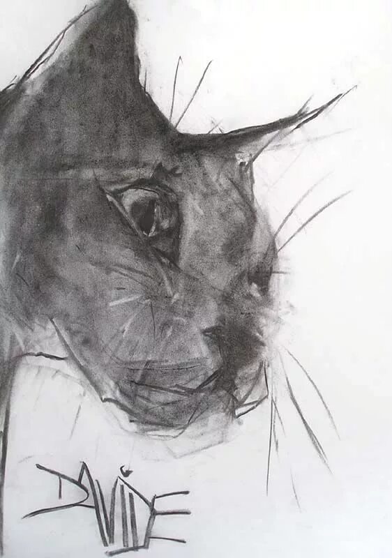 Как дать кошке уголь. Уголь для рисования. кот рисование углем. зарисовки кошки углем. кот набросок углем.